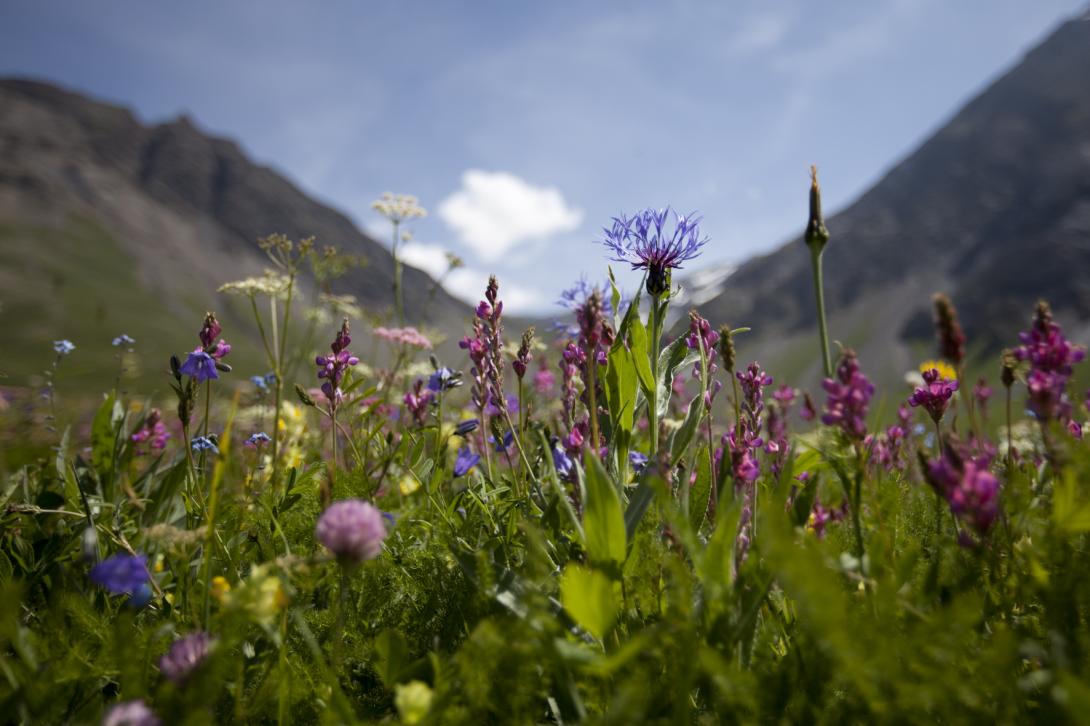 Prairies La Grave